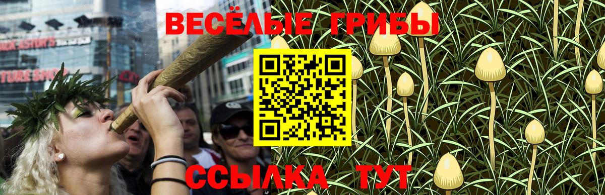 Галлюциногенные грибы Cubensis Елабуга
