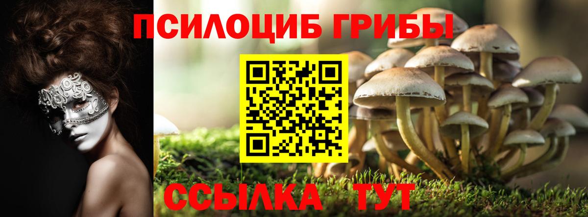 Елабуга  Галлюциногенные грибы прущие грибы  Вход с VPN 